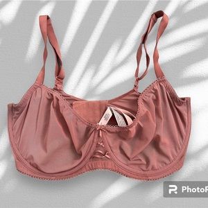 Victoria Secret’s Mesh Bra